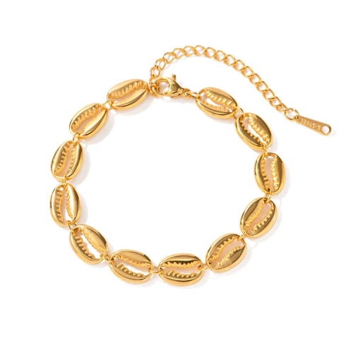 Shell Adorn